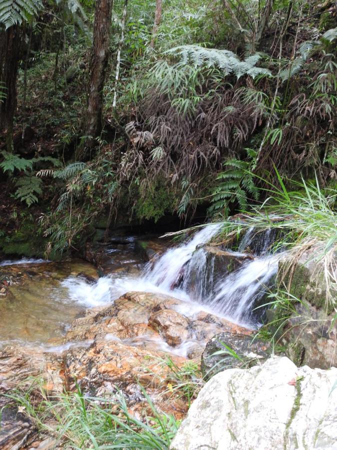 Pousada Serra Verde Joaquim Messias Buitenkant foto